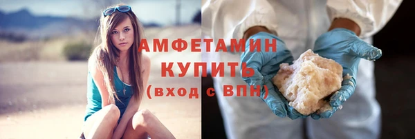 стаф Богданович