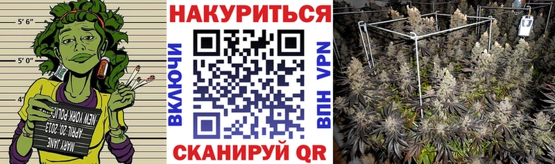 Бошки марихуана THC 21%  Кондрово 